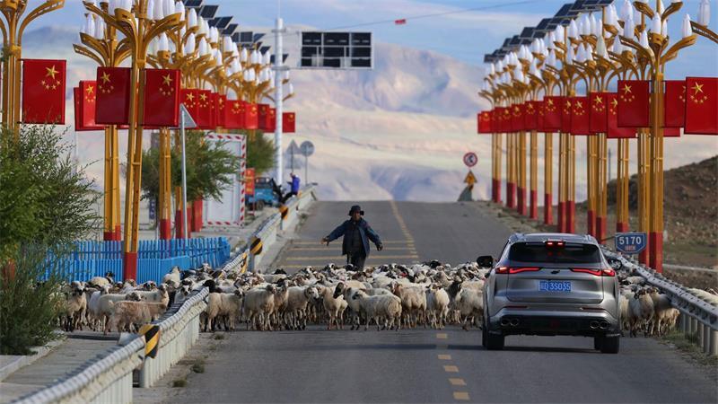 Shigatse (Tibet): Kurzer Stopp auf der Straße – Hirte lotst Schafherde zur Seite
