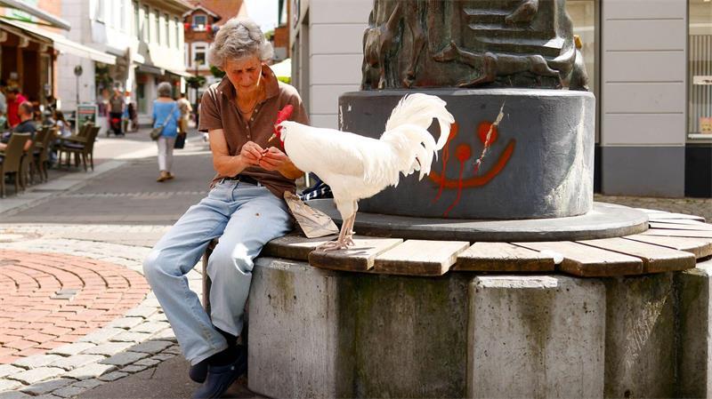 Ziemlich beste Freunde: Das WG-Leben mit Hahn Willi Sibylle Radtke füttert ihren Hahn Willi in der Innenstadt.