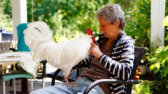 Sibylle Radtke sitzt mit ihrem Hahn Willi im Garten.