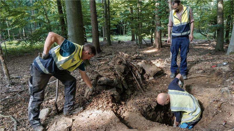 Panne: Soldaten errichten Stellung auf Grabhügel Sie gingen dabei zunächst von einer Raubgrabung aus.