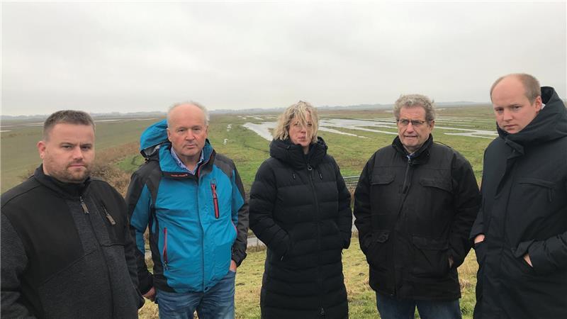 Kleierde für Deicherhöhung: Kehdinger wehren sich gegen Pläne des Landkreises Sie sind für die Deicherhöhung, aber nicht mit bester Kleierde: Sönke Bösch, Wolfgang Gellert, Rike Feil, Hermann Bösch und Henning Gellert.