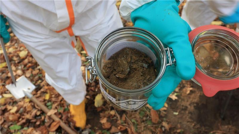 Dioxin-Sanierung in Boberger Niederung startet im November Sieben Jahre, nachdem im Hamburger Osten mit Giftstoffe verseuchter Boden entdeckt wurde, starten nun bald die Sanierungsarbeiten. (Archivfoto)