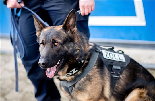 Siebenmal schlugen die Drogenspürhunde im Stader Bahnhofsbereich an (Symbolbild). Foto: Hauke-Christian Dittrich/dpa
