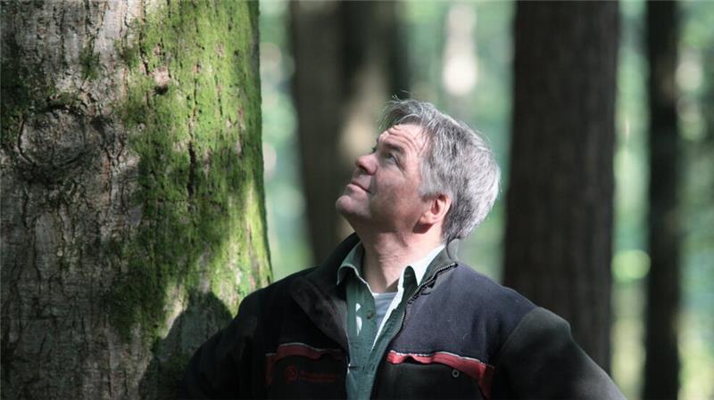 Siegfried Rakowitz beim Blick in die alten Buchenkronen.