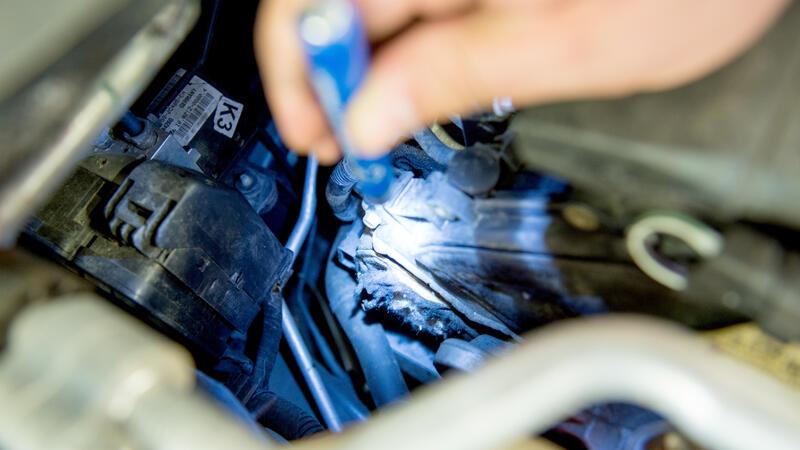 Sieht stark nach Marderbesuch aus: angefressene Schläuche und Abdeckungen im Motorraum.