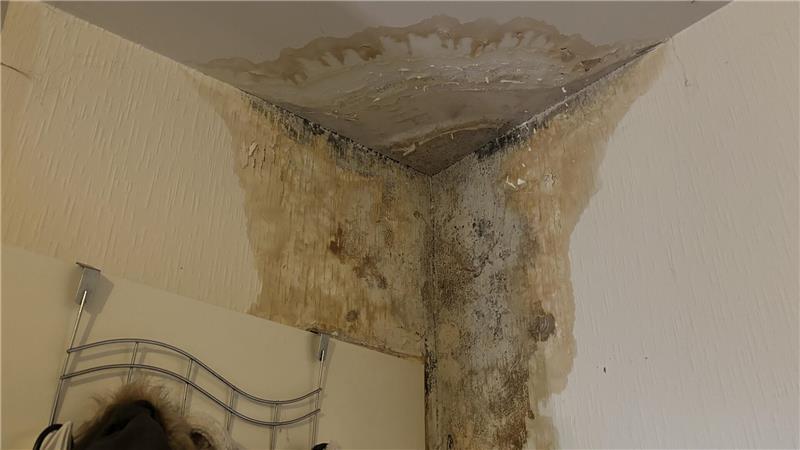 Silke Kurths Wohnung ist voller Wasser- und Schimmelschäden.