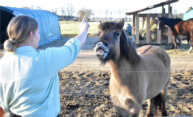 Sina Bernhard versucht, ihr Wildpferd zum Lächeln zu bringen.