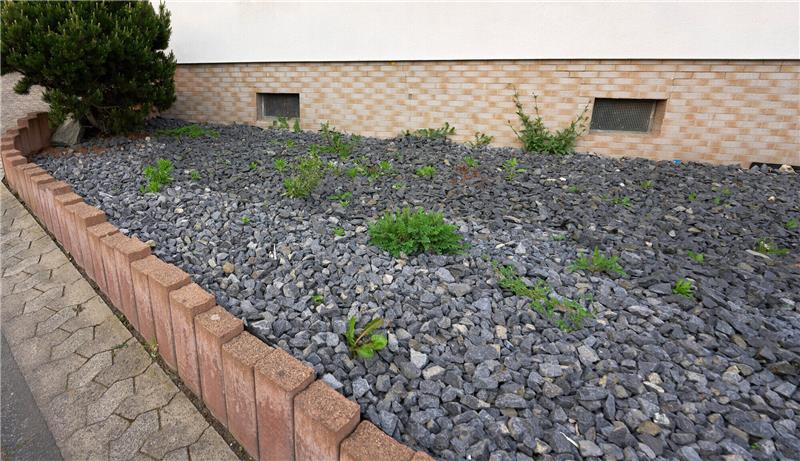 Sind Schottergärten schön anzusehen oder nicht? Darüber scheiden sich die Geister. Weil sie aber nicht zur Biodiversität beitragen, verbieten einige Bauordnungen sie. Foto: Thomas Frey/dpa/dpa-tmn