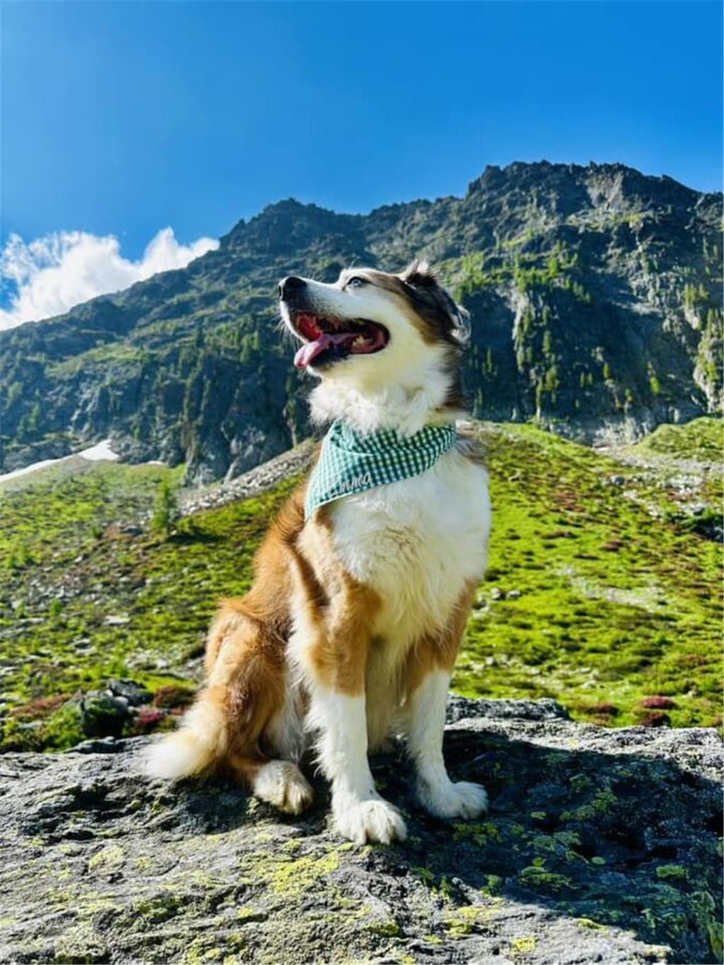 Sleepwalker: "Meine Emma und ich sind ein Dream-Team. Wir lieben das Bergsteigen...