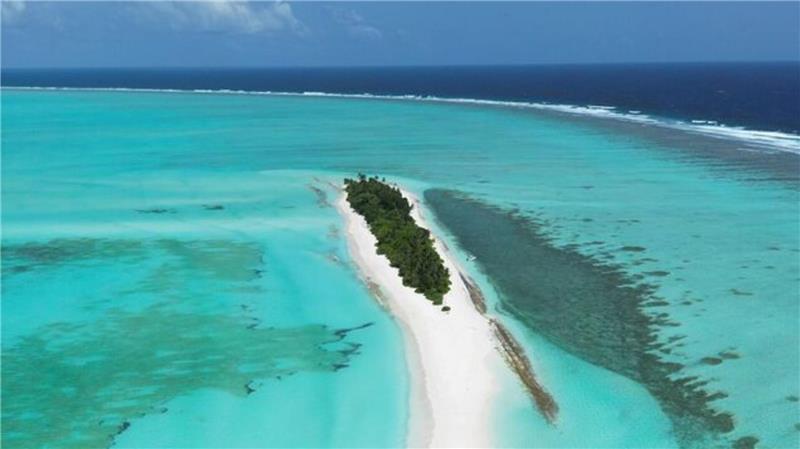 22-Jähriger aus Cuxhaven teilt Reisetipps – und erreicht damit Millionen Menschen So etwas kann sehen, wer auf der Einheimischen-Insel Fulhadhoo auf den Malediven Urlaub macht.