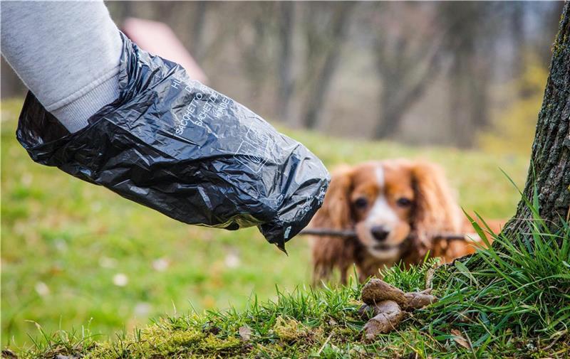 Warum in dieser Gemeinde keine Hundehaufen mehr auf dem Fußweg liegen So ist es richtig: Hat Fiffi sein Geschäft erledigt, greift Frauchen oder Herrchen mit einer Tüte nach dem Kothaufen und entsorgt ihn. Foto: Schmidt/dpa