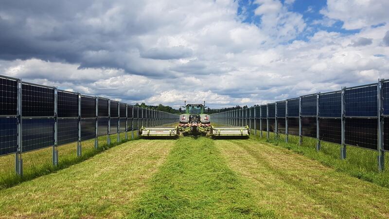So könnte die Agri-PV-Anlage von Next2Sun in Krummendeich aussehen.