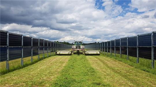 So könnte die Agri-PV-Anlage von Next2Sun in Krummendeich aussehen.