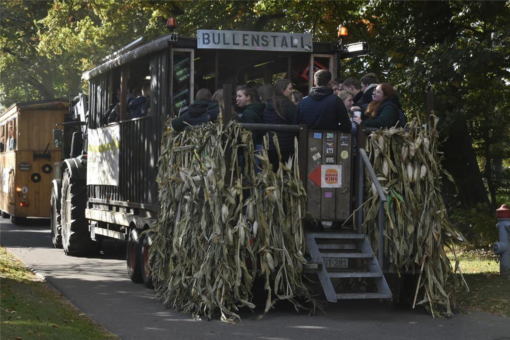 So lief der Ernteumzug in Sauensiek.
