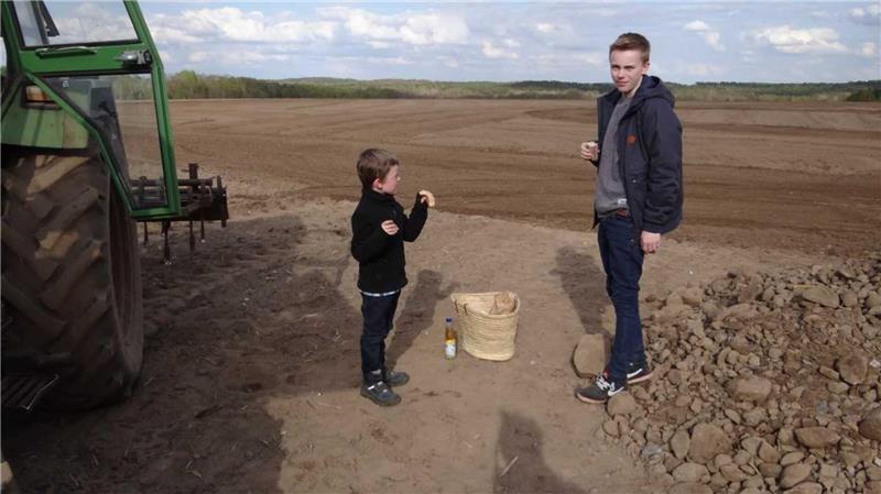 Darum ist ein alter Acker überlebenswichtig für den SV Ottensen So sah der Platz des SV Ottensen vor gut zehn Jahren aus: ein Acker mit Steinen.