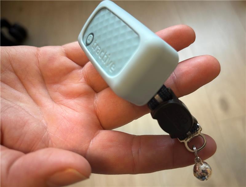 In der Falle erschossen? Die letzten Stunden des Katers Teddy So sah der Tracker aus. An einem Halsband wie diesem war ein dunkelgraues Modell befestigt.