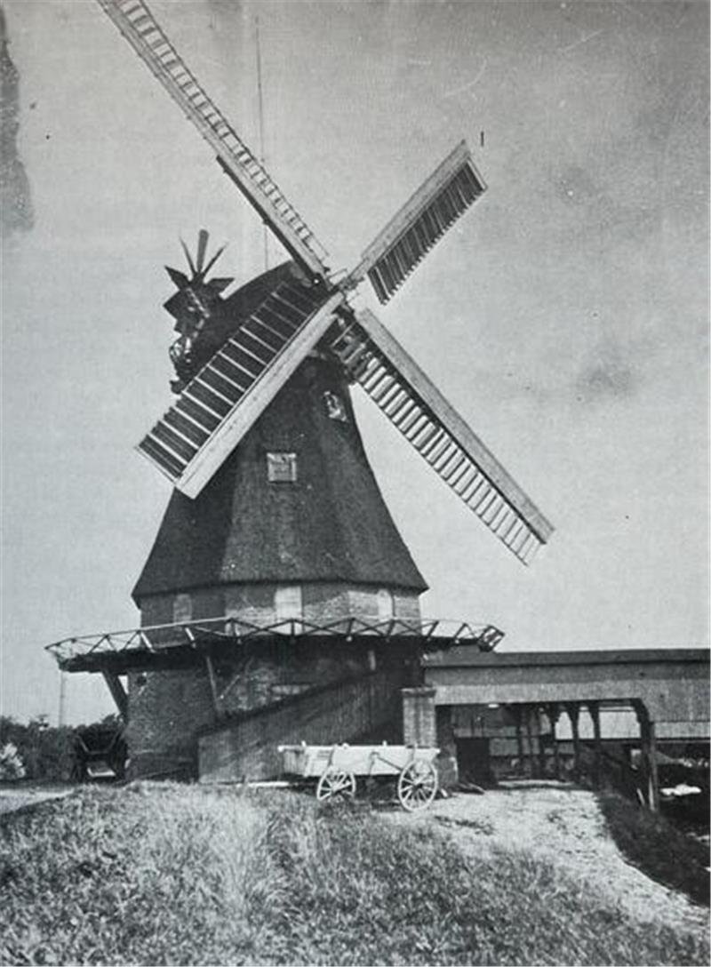 Neuenfelder Mühle steht zum Verkauf – Fels in Sturmflut 1962 So sah die Neuenfelder Mühle im Jahr 1913 aus.