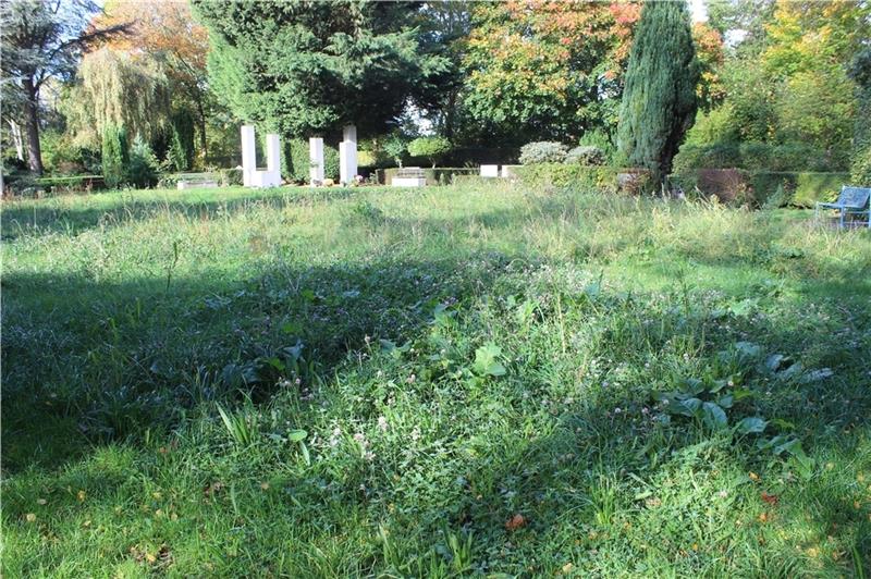 Auf dem Stader Horst-Friedhof blüht der Streit So sah die umstrittene Blühwiese von BUND und Kirche im Herbst aus. Foto: Baumgarten