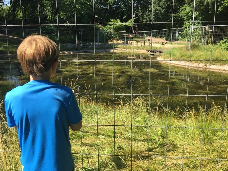 Nach jahrelanger Sperrung: Wird der Wasserspielplatz am Vörder See jetzt freigegeben? So sah es letzten Sommer aus. Ab Juni soll hier wieder gespielt werden können. Foto: Fehlbus