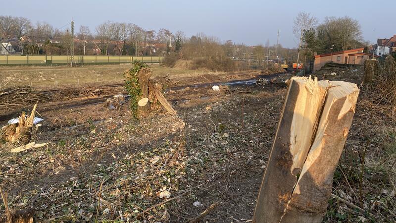 So sieht das AVW-Grundstück an der Bahnstraße nach der Rodung aus. Im Hintergrund sind die Lärmschutzwände der Bahnstrecke Hamburg-Cuxhaven zu erkennen.