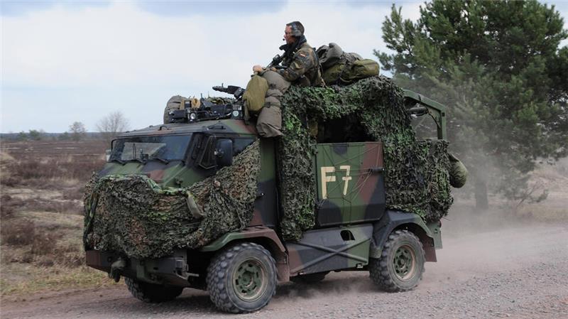 So sieht der Mungo aus.