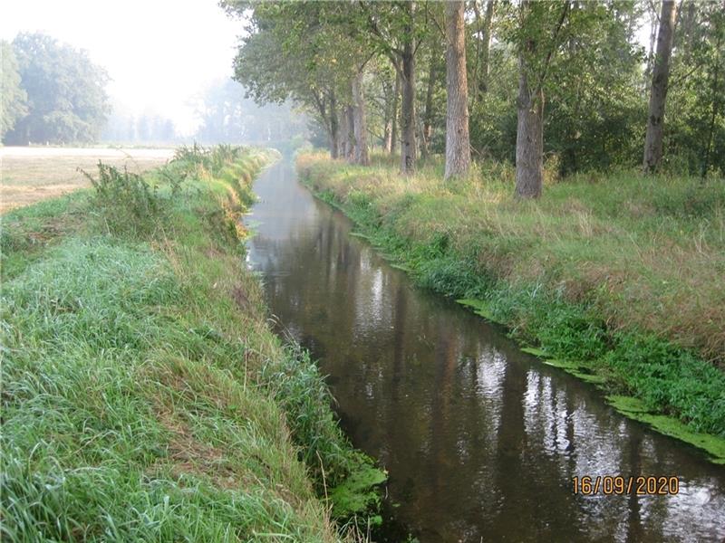 So sieht der geräumte Wasserlauf der Aue zwischen Kakerbeck und Harsefeld aus. Die Aueniederung bei Harsefeld wird seit annähernd 30 Jahren nicht mehr geräumt. Foto: Wilhelm Meyer