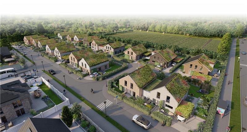 So soll die Smart City in Harsefeld aussehen: 19 Häuser mit begrünten Dächern, die mit umweltschonenden Baustoffen realisiert und energieeffizient betrieben werden. Visualisierung: Viebrock