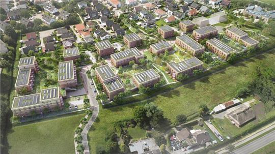 So sollen die Gebäude im Orchideenquartier in Buxtehude angeordnet werden. Die Grafik zeigt das Quartier aus Blickrichtung Norden. Unten verläuft die Straße Westmoor.
