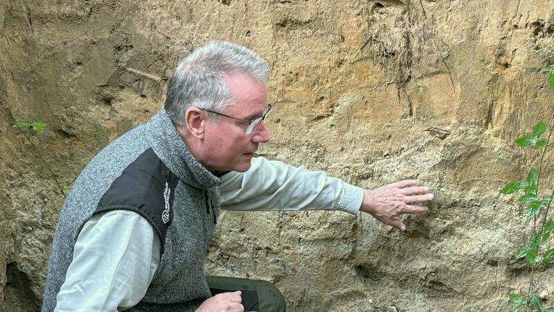 Klimastress im Forst: Wie Harsefelder den Wald der Zukunft pflanzen So tief wurzelt ein Baum: Oben ist die schwarze Humusbodenschicht zu sehen, darunter schluffiger Lehmboden und schließlich eine tonhaltige Lehmschicht.