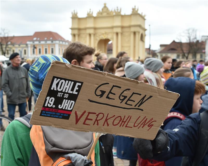 So wie hier in Brandenburg zu sehen sind in ganz Deutschland Schüler auf die Straße gegangen. Foto: Bernd Settnik/ZB/dpa