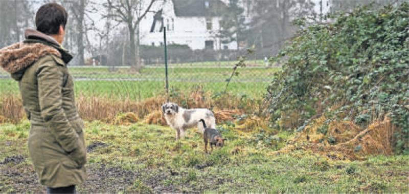 Sobald Jule die 4500 Quadratmeter große Hundewiese hinter dem Haus betretenvdarf, versteckt sie sich in einem Busch. Außerhalb des Grundstücks muss die Hündin immer ein Sicherheitsgeschirr tragen. Sonst reißt sie sich los.
