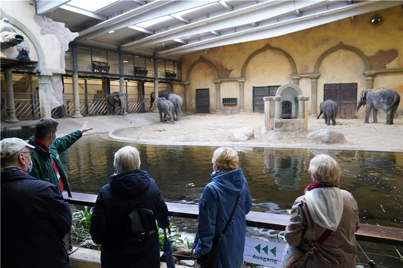 Sören Reichardt (Zweiter von links), Leiter der Zooschule im Tierpark, spricht zu den Teilnehmern der Sonderführung für Senioren „Tierische Generationen“ im Elefantenhaus im Tierpark Hagenbeck. Foto: Brandt/dpa