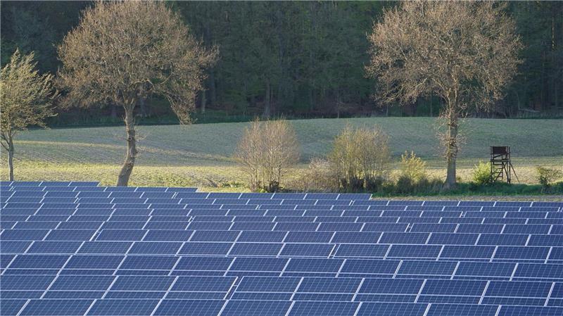 Solaranlagen müssen nicht immer so aussehen, sie können auch so gestaltet werden, dass sie einen Vorteil für die Biodiversität mit sich bringen. (Symbolbild)