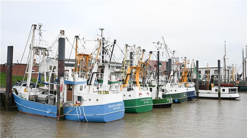 Solche traditionellen Kutter könnten bald weniger an der Küste zu sehen sein. 