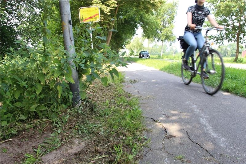 Soll bald saniert werden: der Radweg zwischen Buxtehude und Dammhausen.