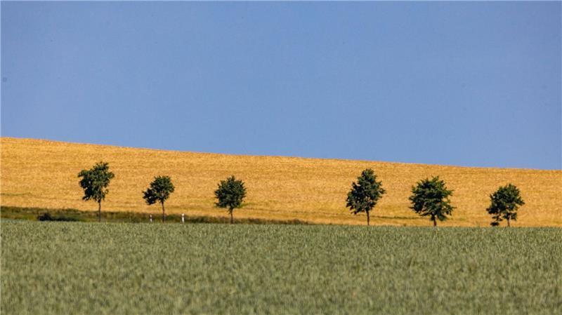 Sommerliches Wetter in Sachsen.