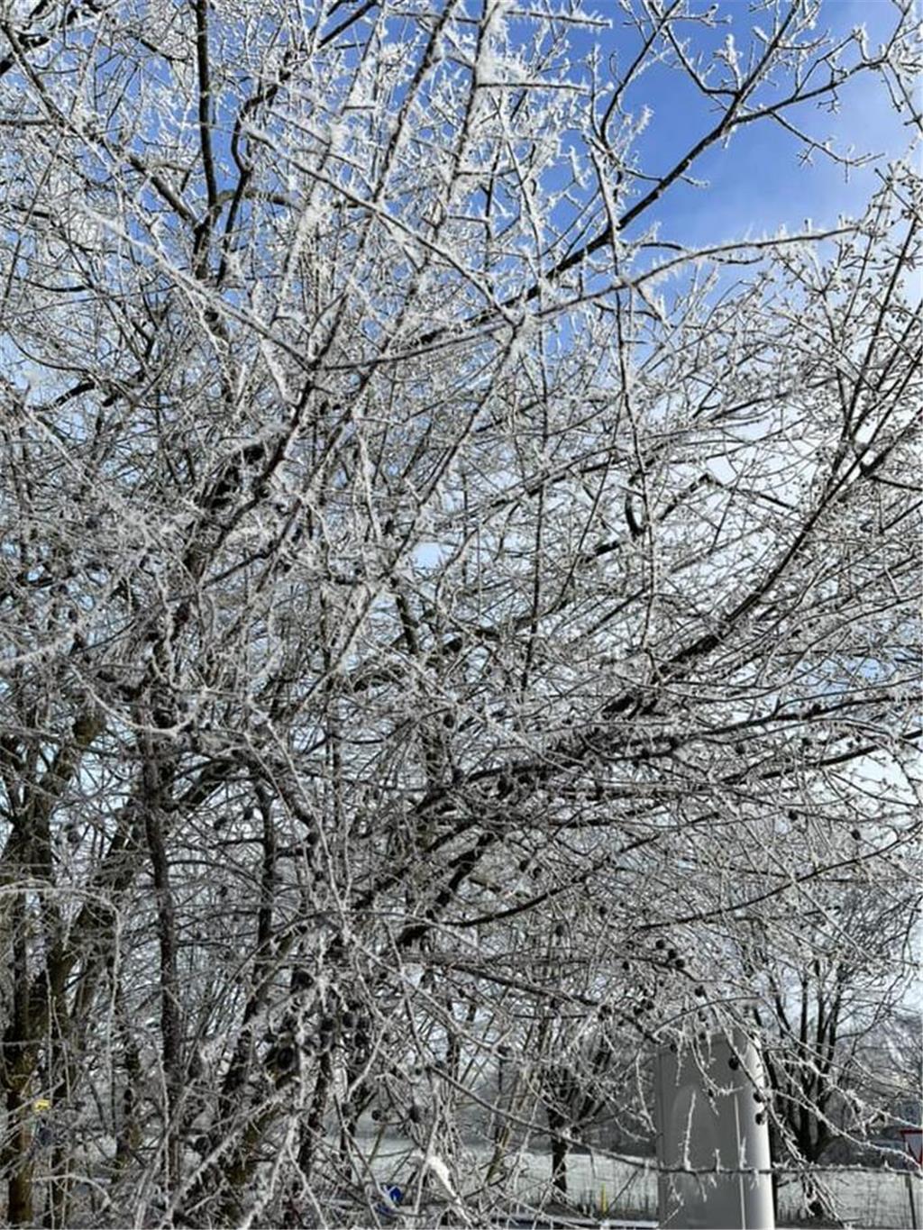 Sonja Ellmer hat einen Winterschnappschuss aus Buxtehude-Ottensen geschickt.
