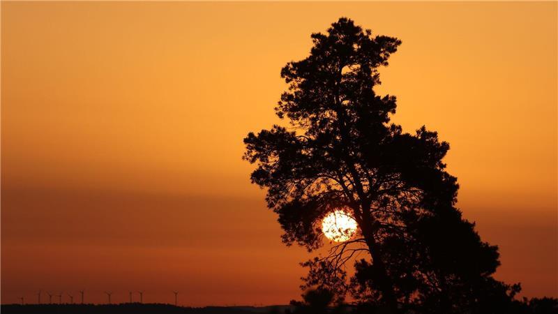 Ein Frühling wie ein Sommer? Zu sonnig und zu warm Sonne satt statt Regen: Das gab es vielerorts.