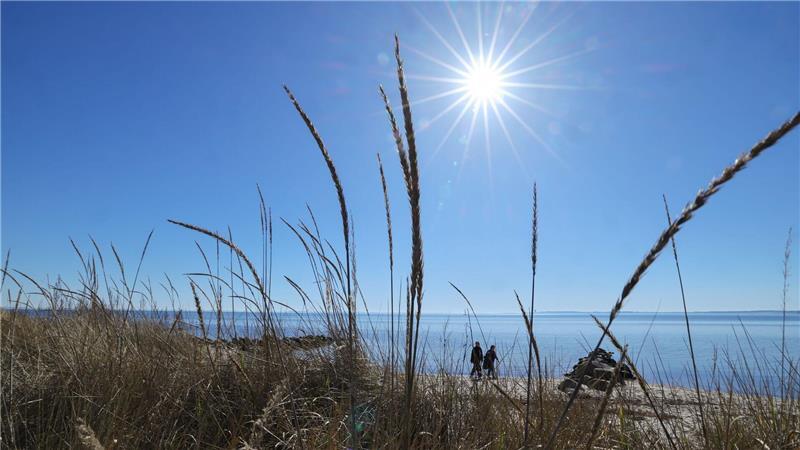 Sonne und Wind trocknen die Natur in Schleswig-Holstein aus. (Symbolbild)