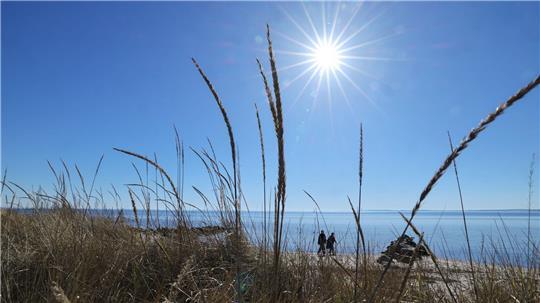 Sonne und Wind trocknen die Natur in Schleswig-Holstein aus. (Symbolbild)