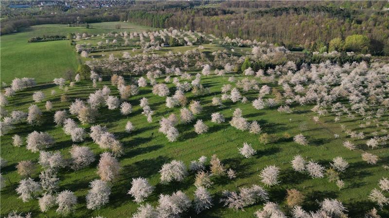 Sonne und Wolken wechseln sich am Ostermontag in Deutschland ab, sagt der Deutsche Wetterdienst. 