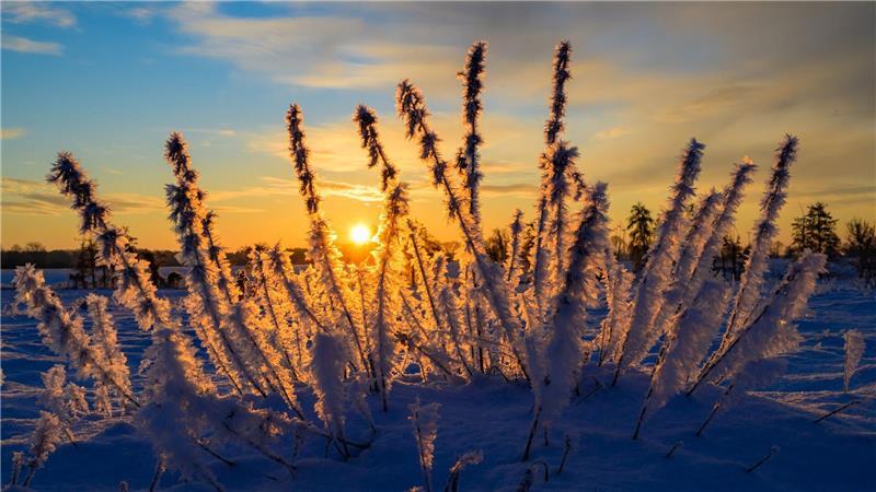 Sonne und kalte Luft erwarten die Meteorologen zum Wochenbeginn. (Archivbild)