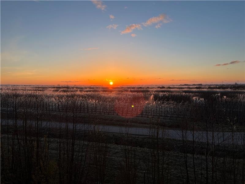 Sonnenaufgang über dem Alten Land: Die Frostschutzberegnungsanlagen verwandeln die Obstplantagen südlich von Jork-Ladekop in eine bizarre Eislandschaft. Fotos: Vasel