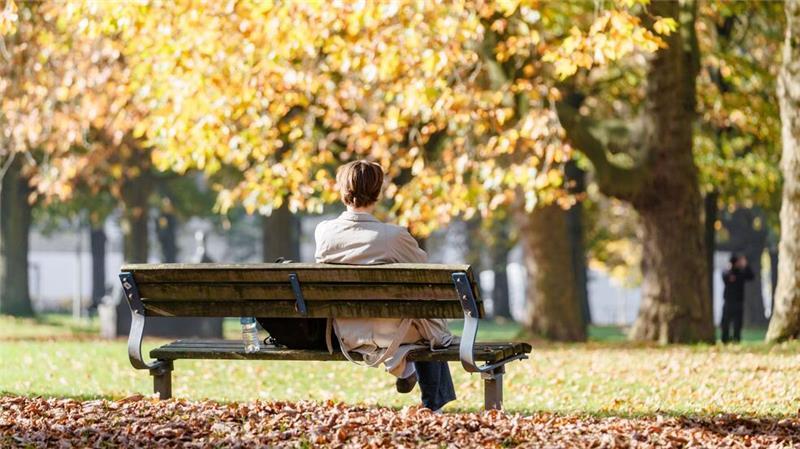 Milder und sonniger Oktober in Niedersachsen Sonnig, mild und mit durchschnittlich viel Regen hat es der Oktober ganz gut mit dem Norden gemeint.