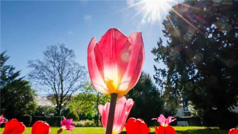 Sonniges Frühlingswetter lockt am verlängerten Wochenende viele Touristen in die Feriengebiete. (Symbolbild)