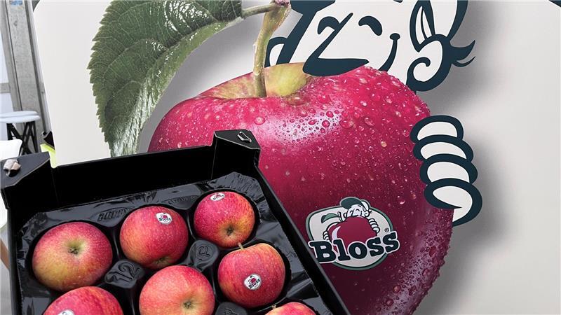 Obstbau an der Niederelbe sucht Wege aus der Krise am Apfelmarkt Sorten wie Bloss sollen junge Leute zu Apfelessern machen.