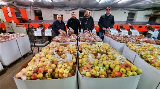 Sortiert und versandfertig: Rudolf zum Felde, Dieter Mahler, Hendrik Feldmann und Stefan Pörschke vor den von ehrenamtlichen Helfern in Beuteln verpackten Äpfeln. Foto: Lange