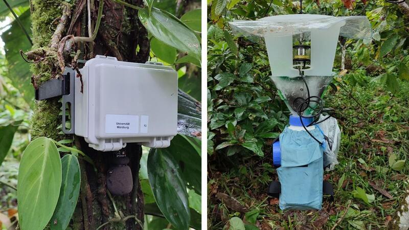 Soundrekorder (l) und automatische Lichtfalle zur Erfassung von Tierstimmen und Nachtinsekten.