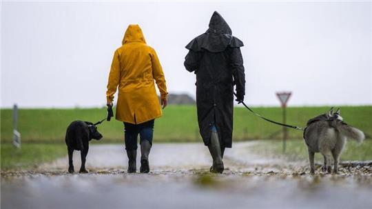 Sparziergänger mit Hund sollten im Landkreis Cloppenburg besonders aufpassen, rät die Polizei. (Symbolbild)
