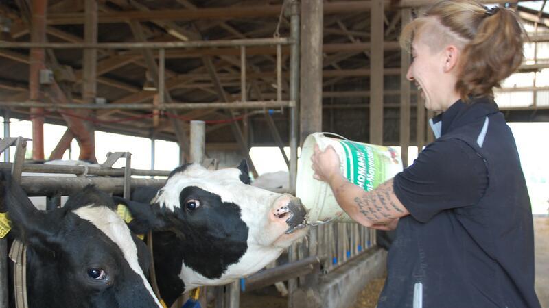 Die mit der Kuh kuschelt: Warum eine Tierwirtin Lust auf die Landwirtschaft hat Spaß muss sein: Francis Reschak mit ihrer Lieblingskuh Helene.